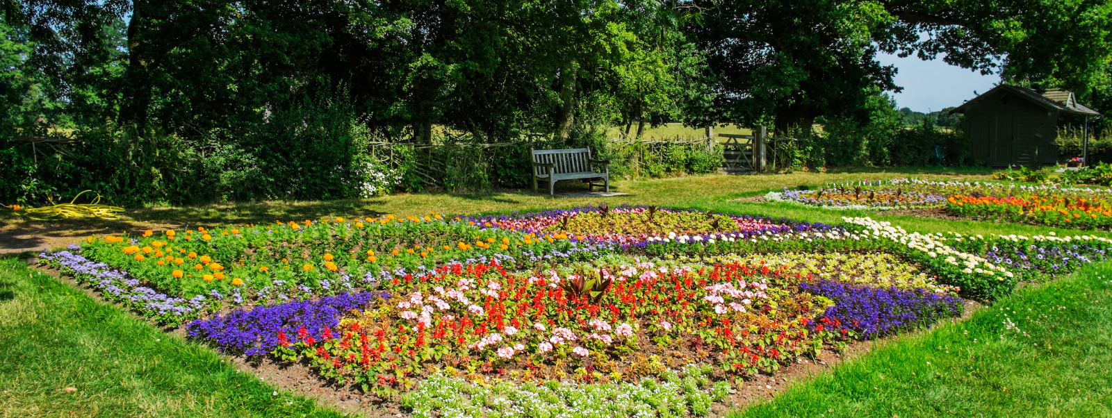 Image of garden plot with lots of colourful flowers