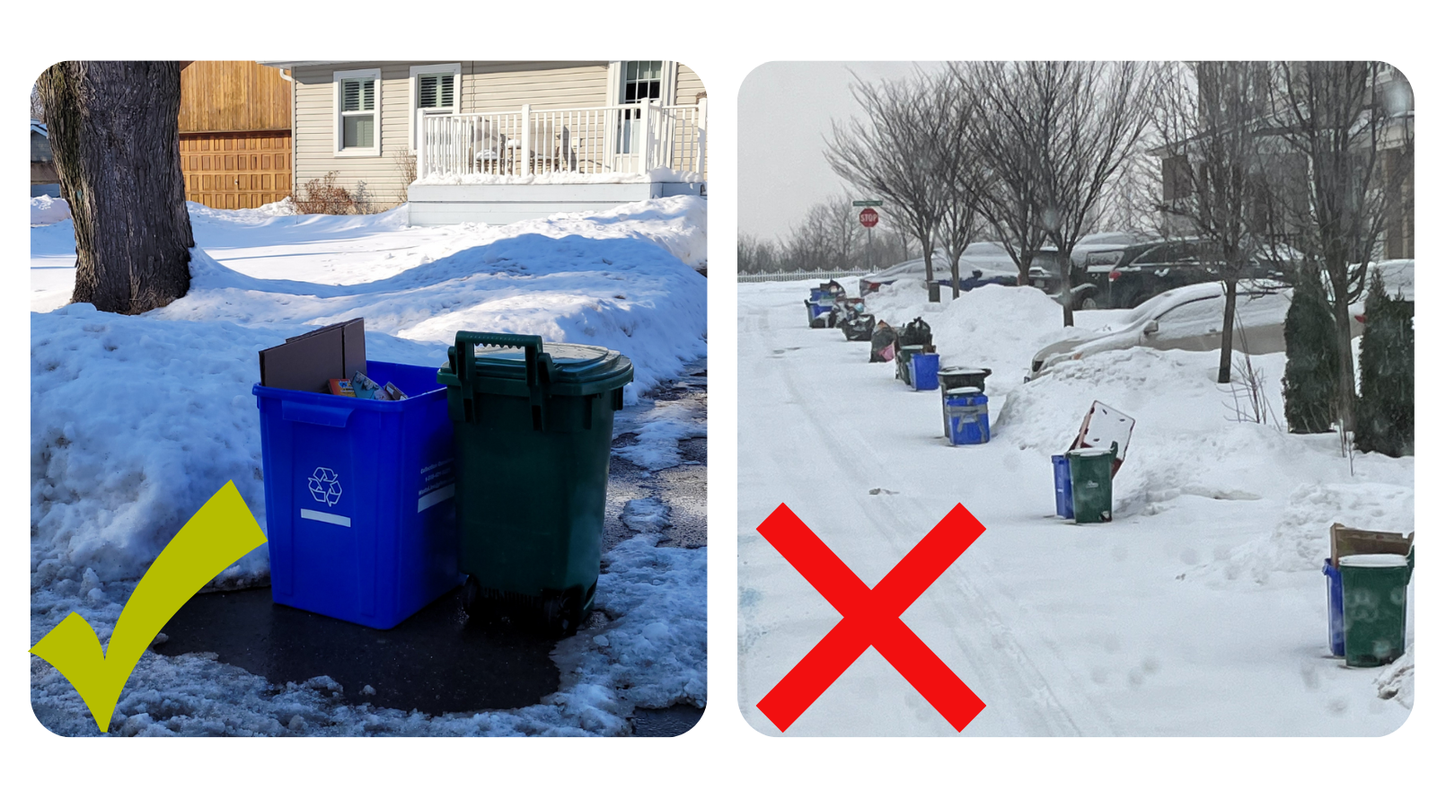 Waste Set out image Image of correct and incorrect waste setout