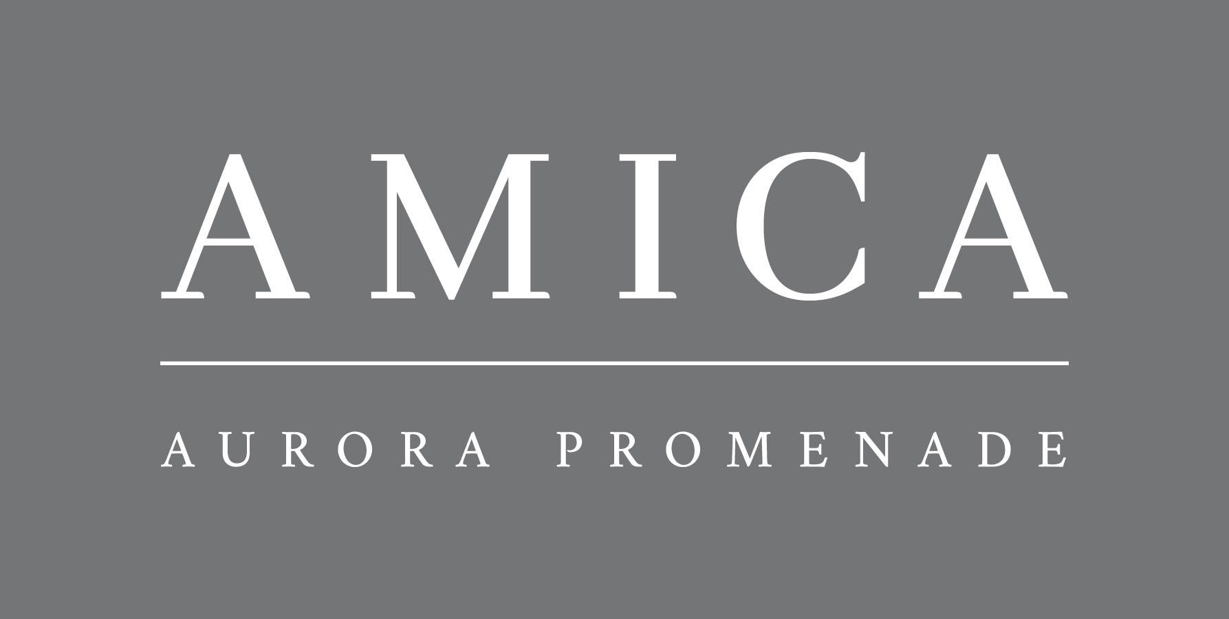 Amica Aurora company logo