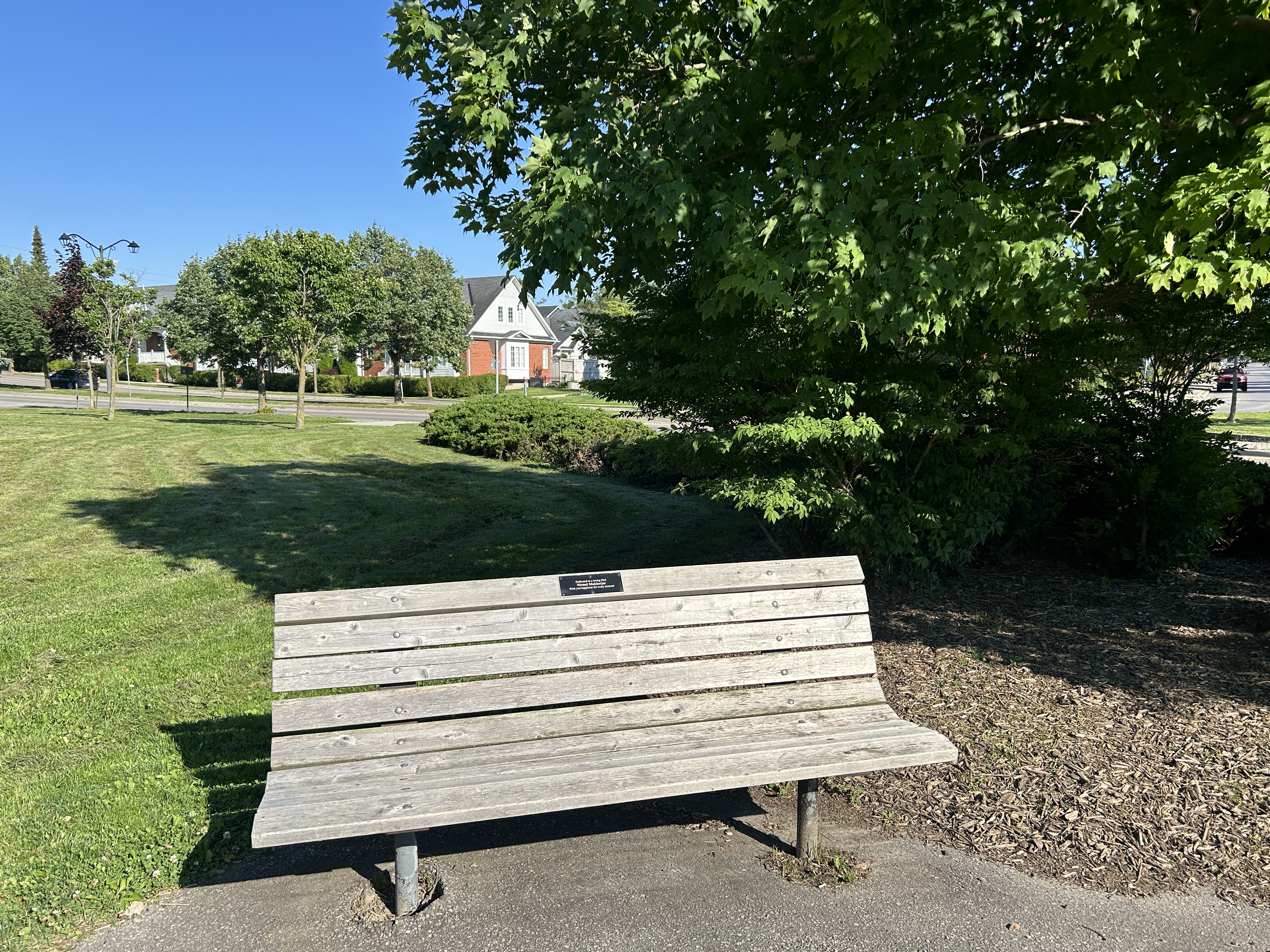 Image of Memorial Bench with plaque in park