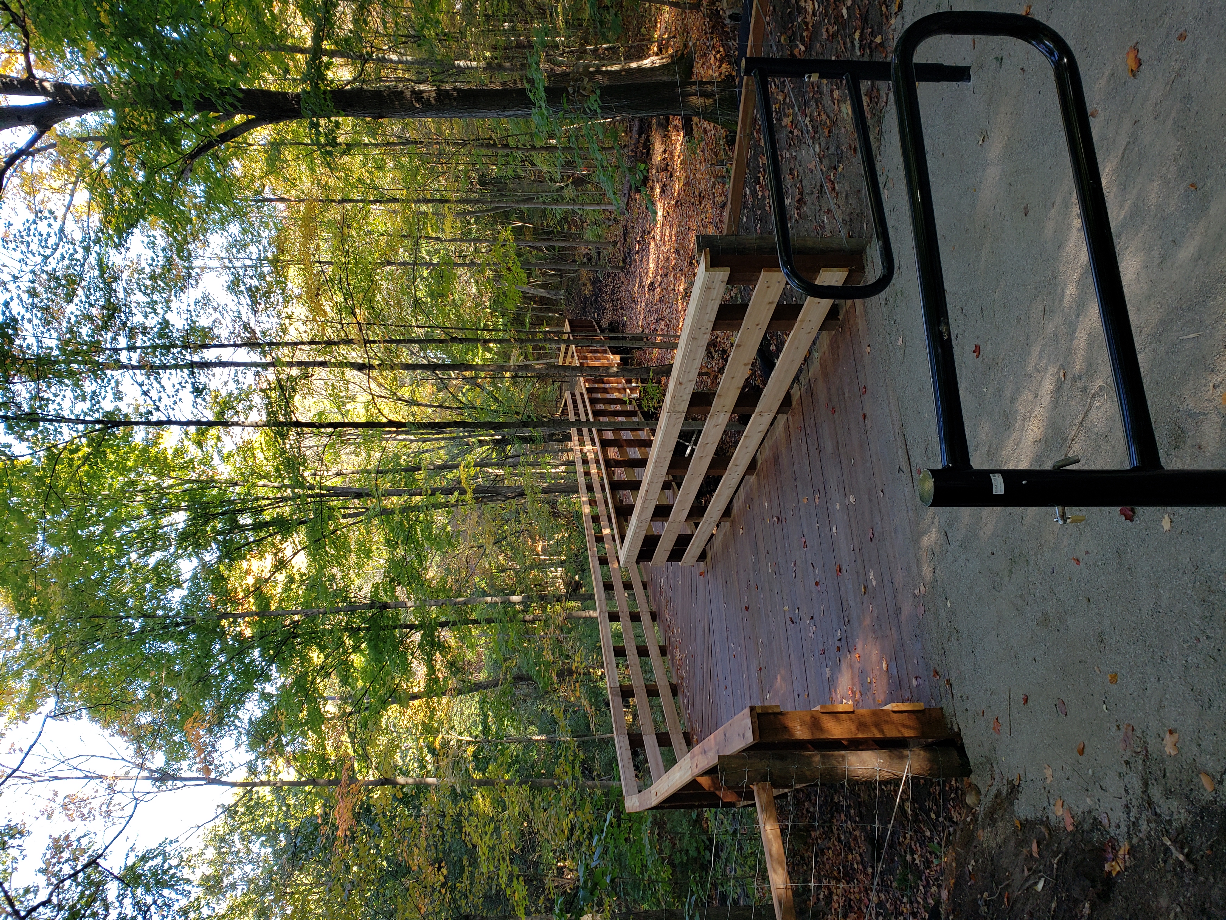 Image of Boardwalk at David Tomlinson Nature Reserve Trail