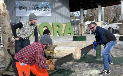 Mayor and participants sawing wood