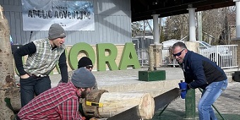 Mayor and participants sawing wood