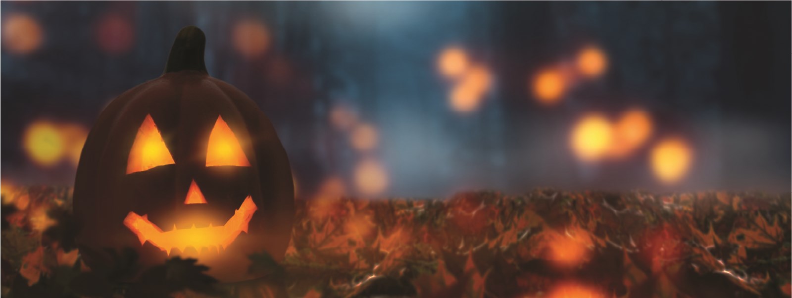 Dark moody scene with lit up carved pumpkin, sitting on fall dry leaves