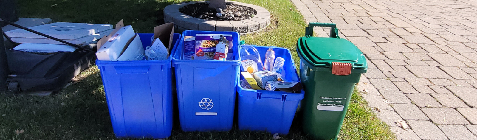 Image of blue and green bins