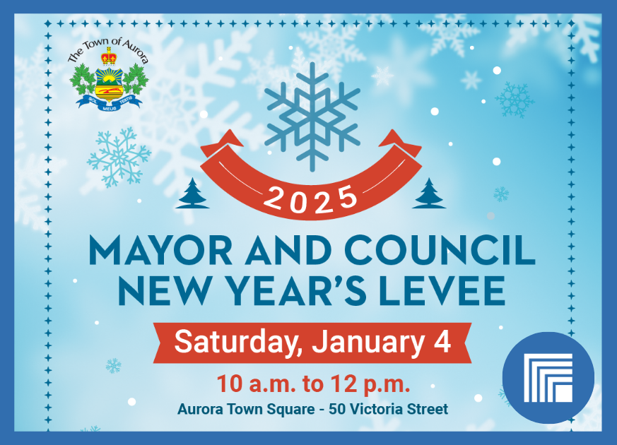 Graphic that says Mayor and Council New Year's Levee